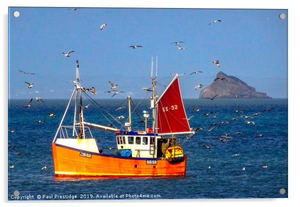 Little Orange Fishing Boat with Seagulls Acrylic by Paul F Prestidge