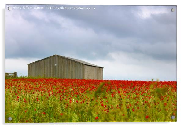 Red Poppies and a Barn Acrylic by Terri Waters