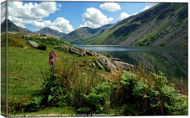 "Foxglove and reflections at Wastwater" Canvas Print by ROS RIDLEY