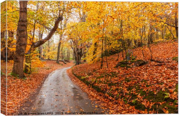 Autumn woodland and winding rural road Canvas Print by Simon Bratt LRPS
