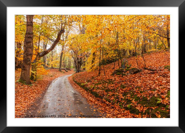 Autumn woodland and winding rural road Framed Mounted Print by Simon Bratt LRPS
