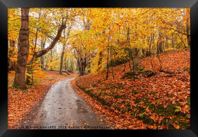 Autumn woodland and winding rural road Framed Print by Simon Bratt LRPS