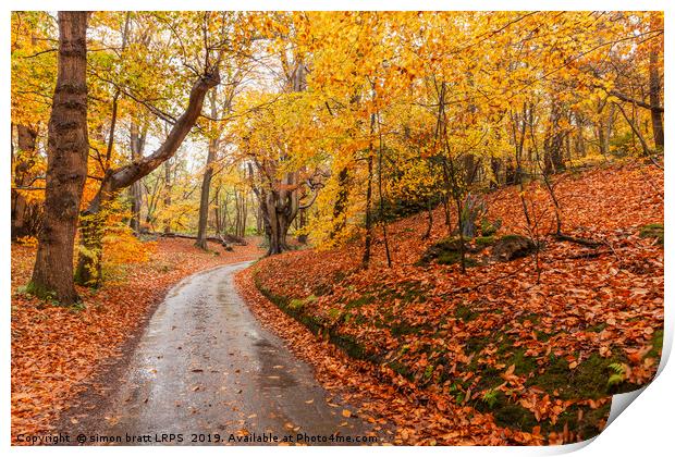 Autumn woodland and winding rural road Print by Simon Bratt LRPS