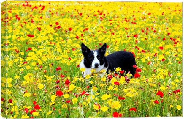 Dog in the Flowers Canvas Print by Terri Waters