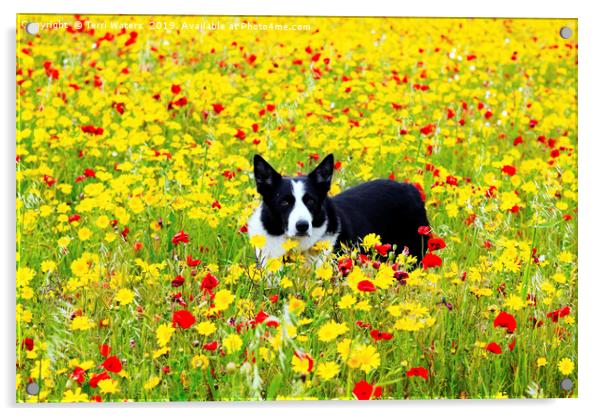Dog in the Flowers Acrylic by Terri Waters
