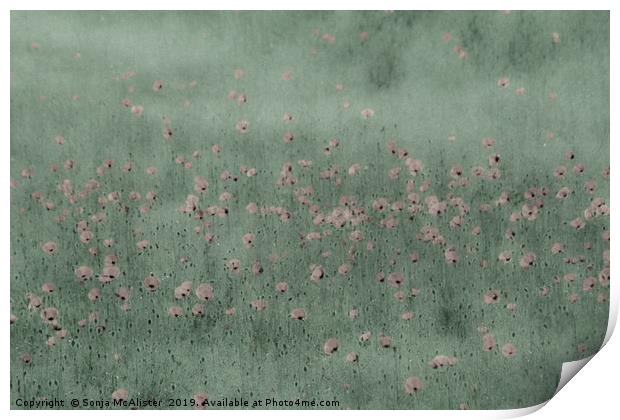 Poppies I Print by Sonja McAlister