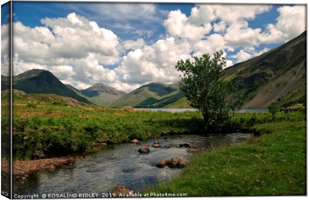"Tree by the stream Wastwater" Canvas Print by ROS RIDLEY