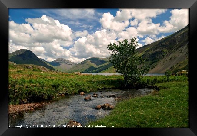 "Tree by the stream Wastwater" Framed Print by ROS RIDLEY