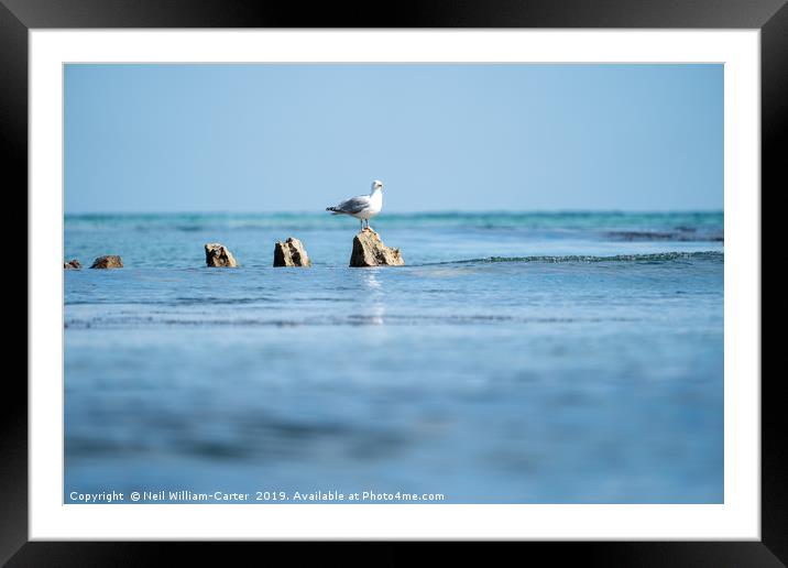 Dorset coat as Seagull watches on Framed Mounted Print by Neil William-Carter