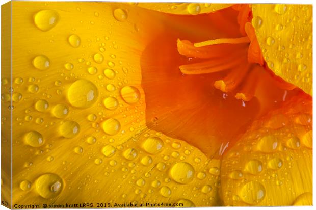 Poppy flower macro with water droplets Canvas Print by Simon Bratt LRPS