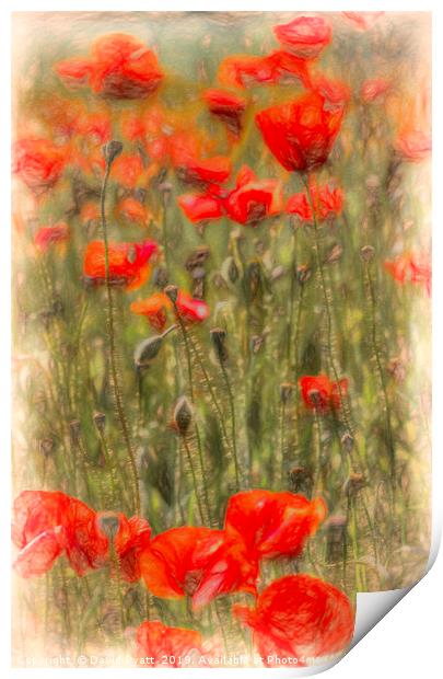 Poppy Summer Art Print by David Pyatt