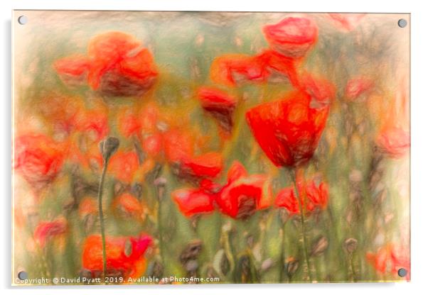 Summer Poppy's Art Acrylic by David Pyatt