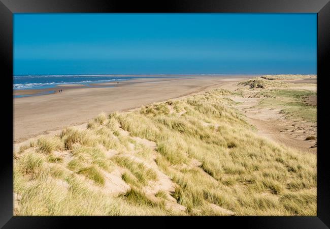 Holkham bay beach & Nature reserve Framed Print by Andrew Michael