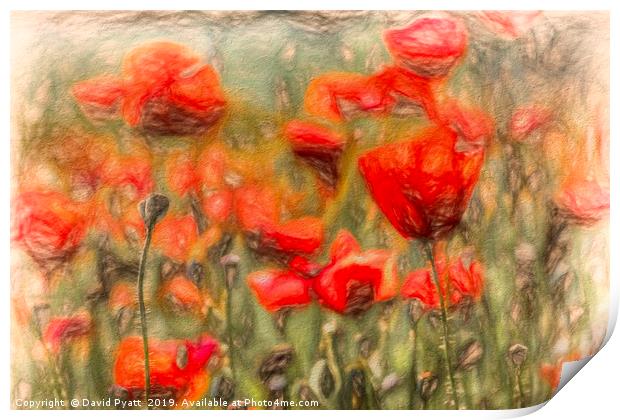  Poppy's Pastel Art Print by David Pyatt