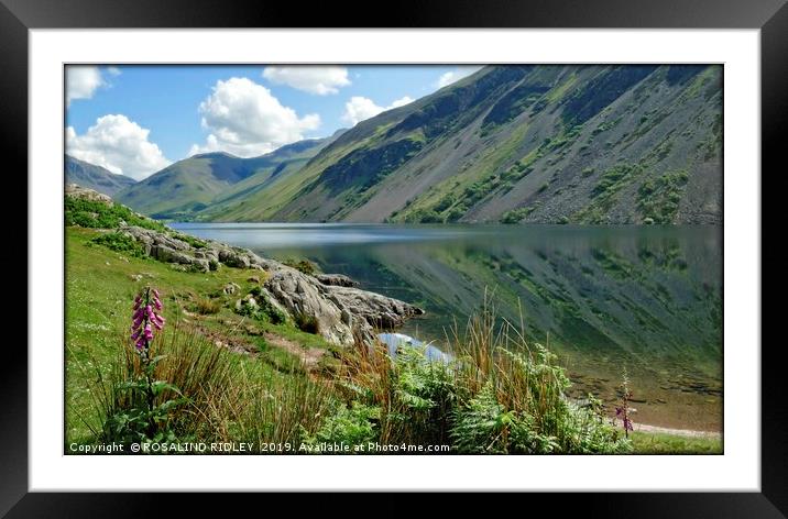 "Foxglove and reflections at Wastwater 2" Framed Mounted Print by ROS RIDLEY