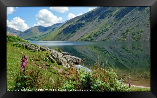 "Foxglove and reflections at Wastwater 2" Framed Print by ROS RIDLEY
