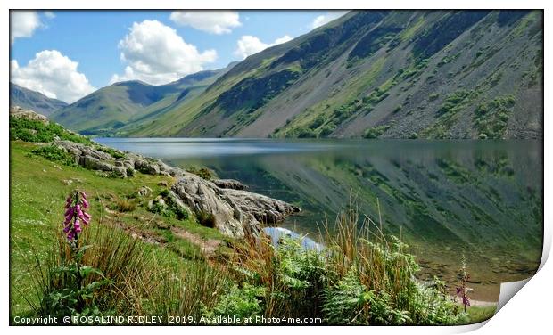 "Foxglove and reflections at Wastwater 2" Print by ROS RIDLEY