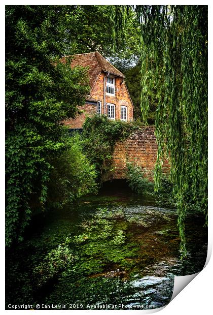 House By The River Print by Ian Lewis