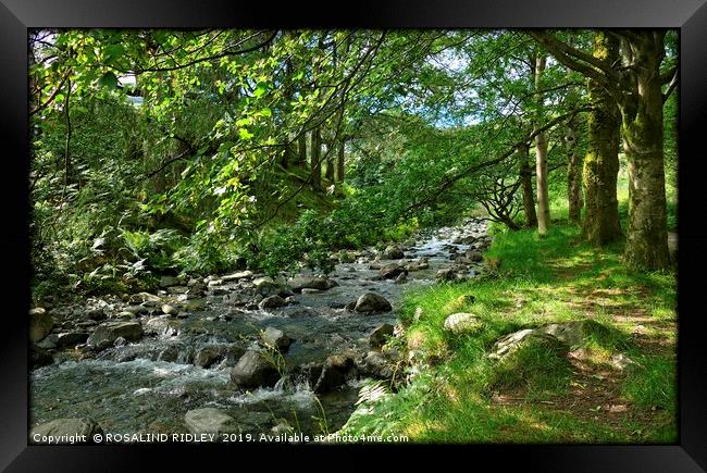 "Dappled sunshine at the stream 2" Framed Print by ROS RIDLEY