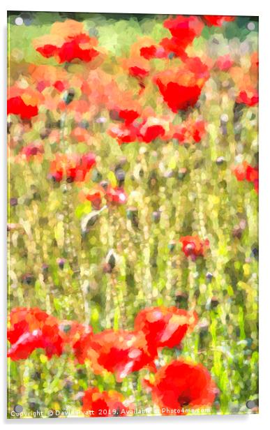 Monet Poppy Meadow Acrylic by David Pyatt