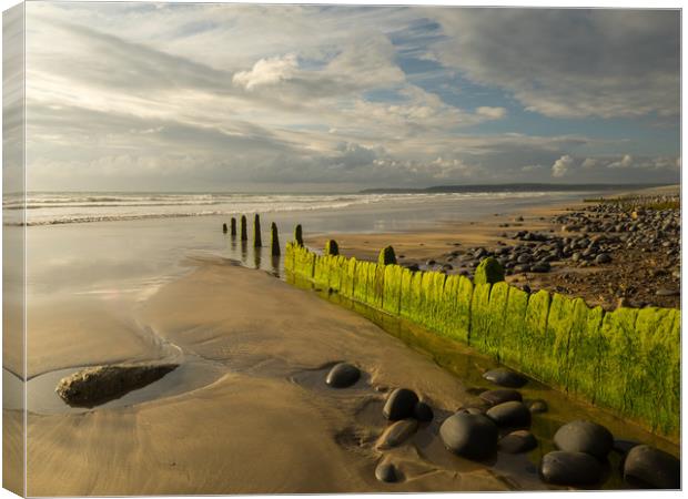 Westward Ho! beach groynes in North Devon  Canvas Print by Tony Twyman