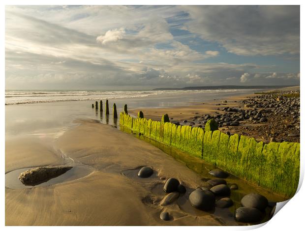 Westward Ho! beach groynes in North Devon  Print by Tony Twyman
