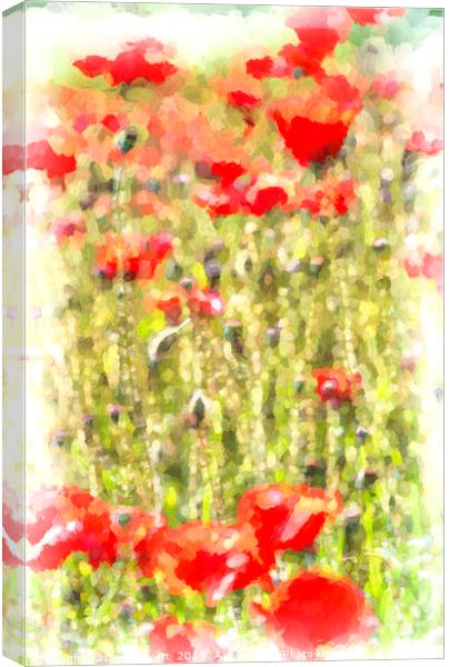 Poppy Meadow Monet Canvas Print by David Pyatt