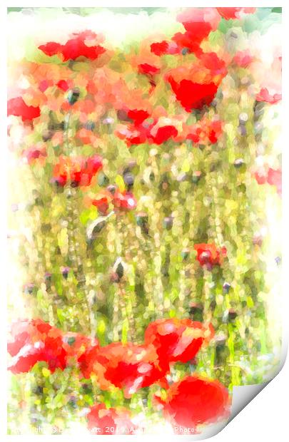 Poppy Meadow Monet Print by David Pyatt