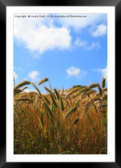 Wheat In The Sun Framed Mounted Print by Nicola Clark
