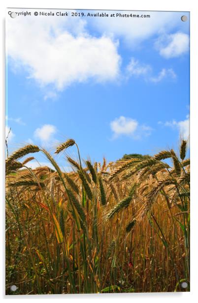 Wheat In The Sun Acrylic by Nicola Clark