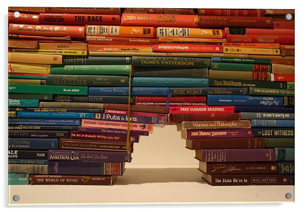 the books Acrylic by mark blower