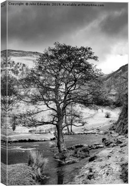 The Tree in the Dove Monochrome  Canvas Print by John Edwards