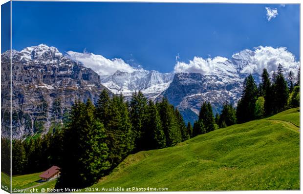  Alpine Meadow with Mettenberg and the Eiger Canvas Print by Robert Murray