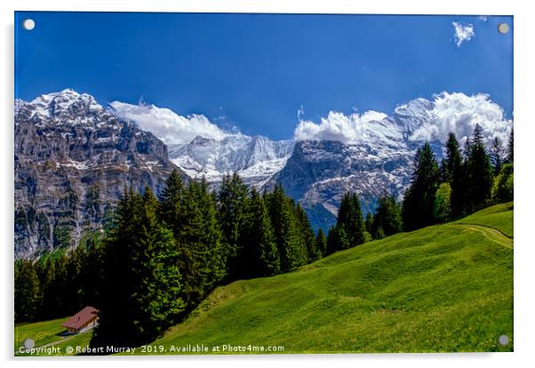  Alpine Meadow with Mettenberg and the Eiger Acrylic by Robert Murray
