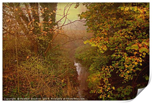 Misty River Print by Heather Goodwin