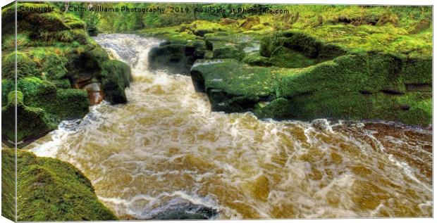 The Strid  Bolton Abbey Canvas Print by Colin Williams Photography