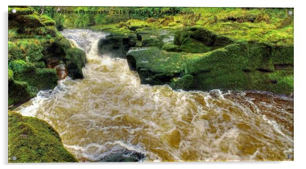 The Strid  Bolton Abbey Acrylic by Colin Williams Photography