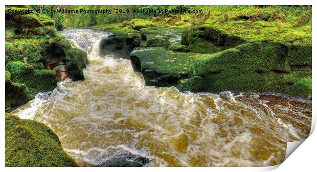 The Strid  Bolton Abbey Print by Colin Williams Photography