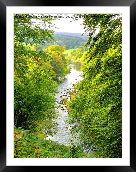 The River Wharfe Bolton Abbey - 1 Framed Mounted Print by Colin Williams Photography
