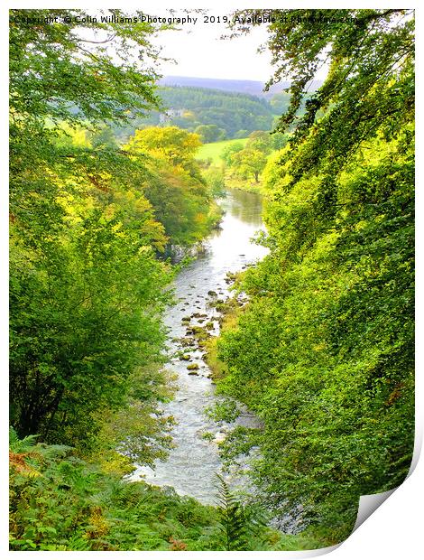 The River Wharfe Bolton Abbey - 1 Print by Colin Williams Photography