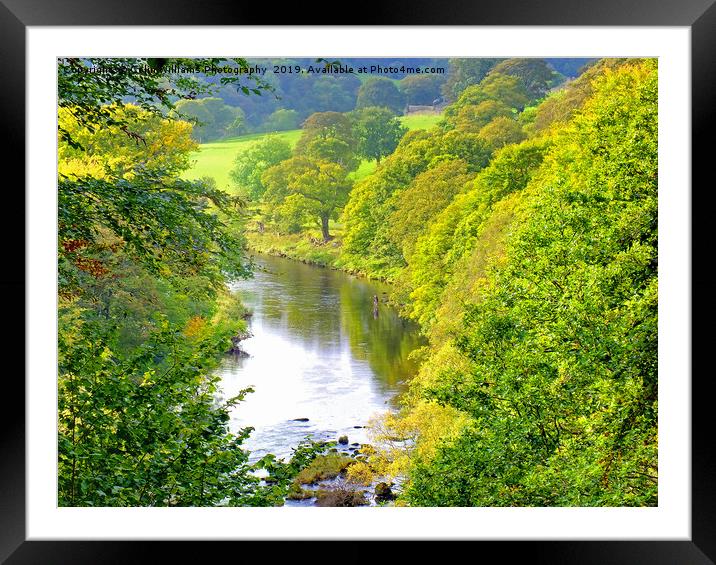 The River Wharfe Bolton Abbey - 2 Framed Mounted Print by Colin Williams Photography