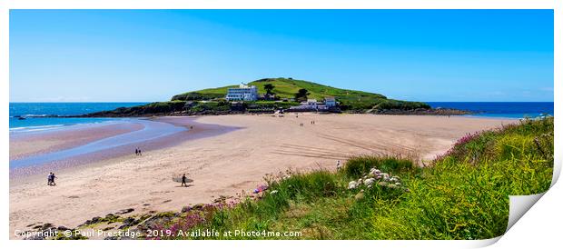 Burgh Island in June Panorama Print by Paul F Prestidge