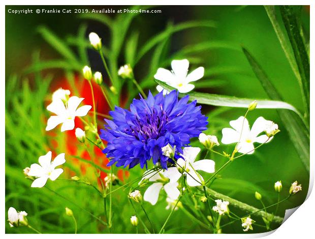 Babys Breath and Bachelor Button Print by Frankie Cat