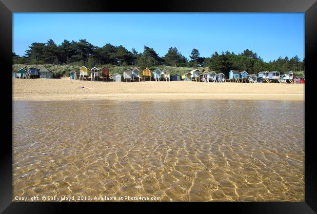 Beach huts from the water at Wells-Next-the-Sea  Framed Print by Sally Lloyd