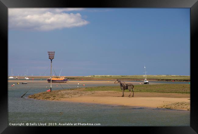 The Lifeboat Horse at Wells-next-the-Sea Framed Print by Sally Lloyd