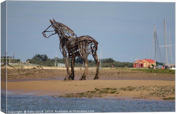 The Lifeboat Horse at Wells-next-the-Sea Canvas Print by Sally Lloyd