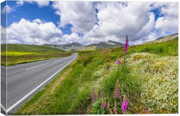 Road To Snowdon Mountain Canvas Print by Adrian Evans