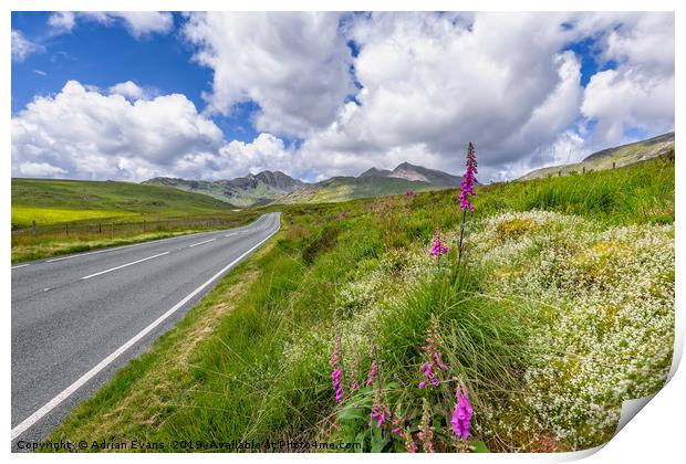 Road To Snowdon Mountain Print by Adrian Evans