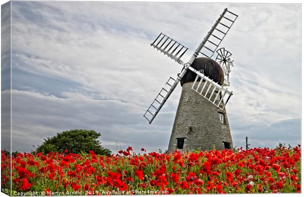 Whitburn WIndmill and Poppies Canvas Print by Martyn Arnold