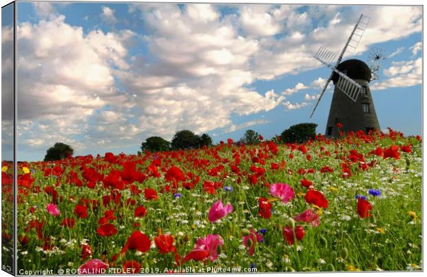 "Old Windmill in the poppy fields" Canvas Print by ROS RIDLEY